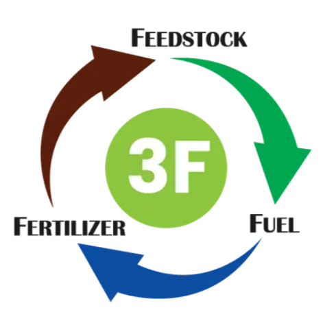 3F Model Infographic