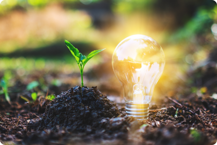 Bioenergy Innovation, circular economy strategies, sustainable farming